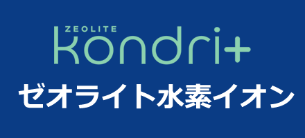 ゼオライト水素イオン